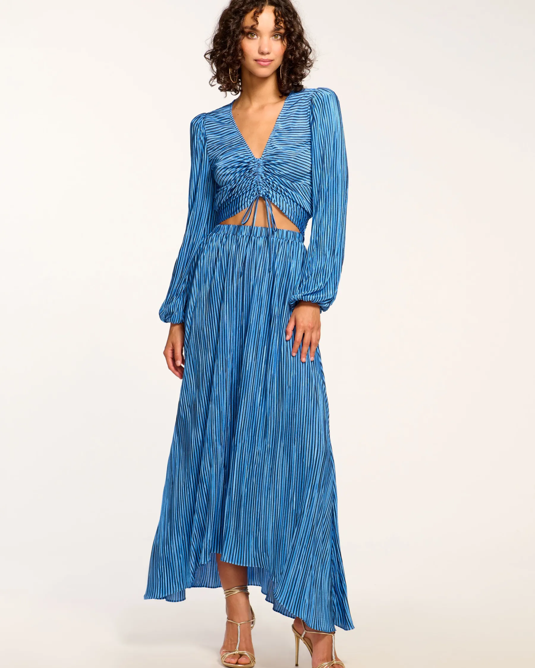 Ramy Brook Gwendolyn Pleated Maxi Skirt Bluepleats Hot